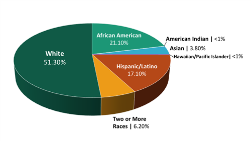 student pie chart 